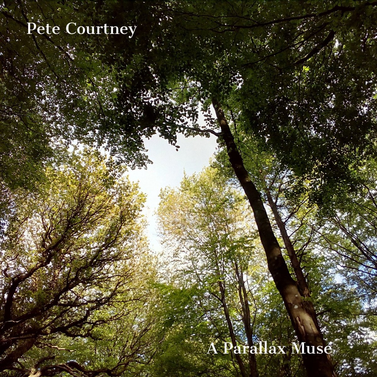 A Parallax Muse cover